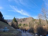 Wanderung-Wiesenbach-2026-01